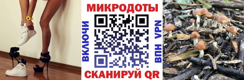 Псилоцибиновые грибы мухоморы shop формула Домодедово